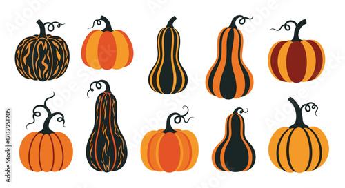Collection of Autumn Pumpkins and Gourds for Harvest Season Decoration.