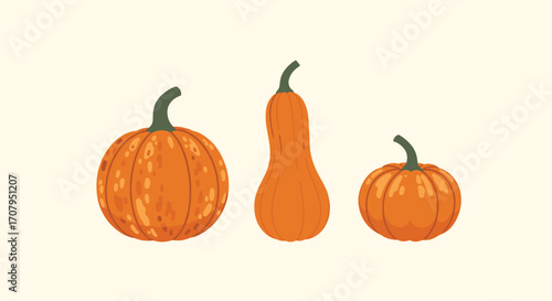 Three Orange Pumpkins and Gourds on a Cream Background.