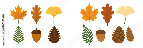 Vibrant collection of autumn leaves including maple, oak, ginkgo, fern, with acorns and pine cones