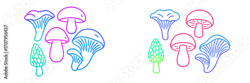Stylized gradient outline mushrooms with diverse edible and wild fungi varieties including chanterelle, morel, and button