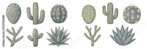 Botanical collection featuring diverse desert succulent plants, various types of cacti, and agave elements
