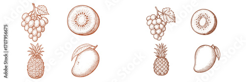 Variety of fresh tropical and common fruits including grapes, kiwi, pineapple, and mango in a detailed hand drawn sketch style