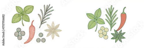 Assortment of fresh culinary herbs and aromatic spices including basil rosemary chili and star anise