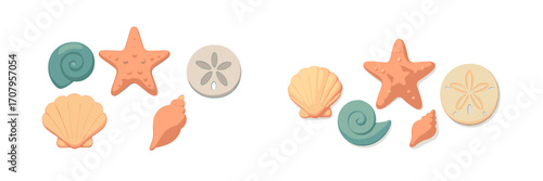 Assortment of vibrant marine life elements including seashells starfish and sand dollar in a clean arrangement with soft shadows