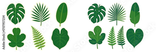 Collection of diverse tropical jungle leaves including monstera, palm, fern, and banana foliage in a vibrant green palette