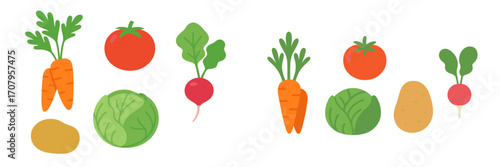 Colorful fresh organic garden vegetables including carrots, tomatoes, cabbage, radishes, and potatoes