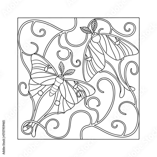 Art nouveau luna moth and decorative vine hand drawn monochrome coloring book page