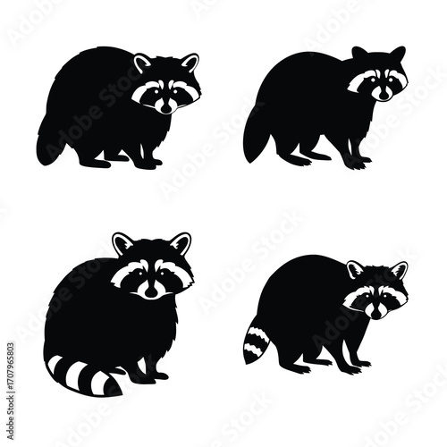 Raccoon silhouette vector icon black color and white background