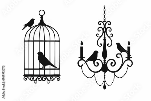 birds in cage