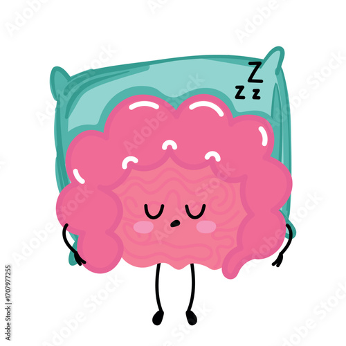 Cute intestine dozing on a pillow with tiny “zzz”. Perfect for sleep, recovery, and routine themes.