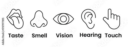 Human senses icon set. Vision eye, smell nose, hearing ear, touch hand, taste mouth with tongue. Simple line icons and black circle. Five senses of human nervous system. Vector illustration