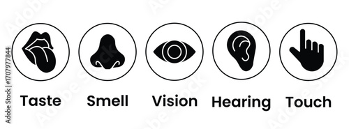Human senses icon set. Vision eye, smell nose, hearing ear, touch hand, taste mouth with tongue. Simple line icons and black circle. Five senses of human nervous system. Vector illustration