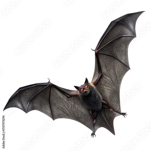 Illustration of a halloween bat png bat png halloween png flying png dark png spooky png cartoon png illustration png transparent background