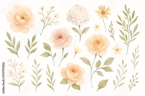 A soft watercolor floral clipart set featuring delicate roses, peonies, daisies, and leafy branches in pastel peach, cream, and blush tones. Perfect for invitations, wedding designs, scrapbooking