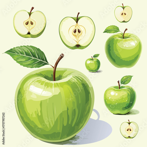 A crisp and tart set of green apple illustrations, shown whole and sliced. This fresh, painterly fruit art is perfect for juice packaging, healthy snack concepts, or organic branding.