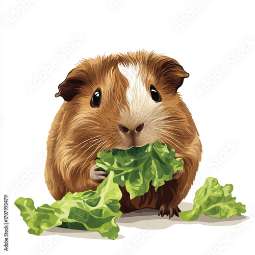 Adorable Guinea Pig Enjoying Fresh Green Lettuce