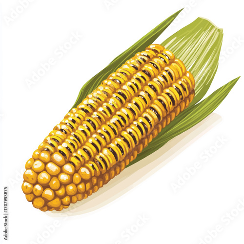 An ear of corn yellow kernels fresh corn cob
