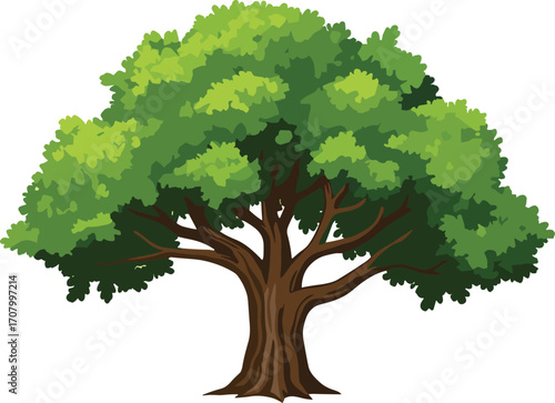 Large green leafy tree illustration with thick trunk and dense foliage, ideal for nature design, landscape art, animation, and education.