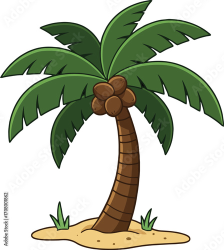 Tropical coconut palm tree with coconuts on sandy ground illustration vector