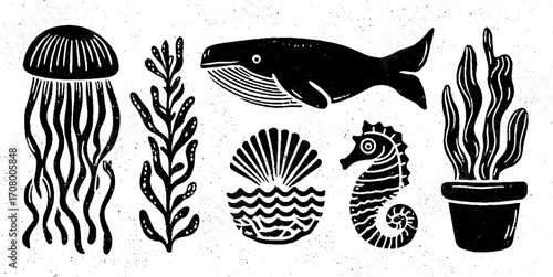 Marine life and flora collection featuring jellyfish, octopus, and sea elements for decorative design