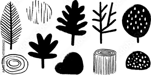 Organic textures collection: leaf veins, bark lines, and natural patterns for design