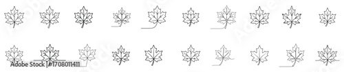 Maple leaf continuous line art vector icon set.