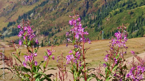 27 August 2025 Medeo Shymbulak Mountain Resort, Almaty Kazakhstan