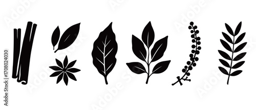 A creative vector set of black silhouettes of various spices and herbs, including cinnamon sticks, bay leaves, star anise, and peppercorns, perfect for culinary and organic-themed designs.