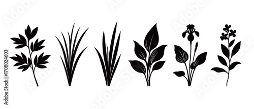 A minimalist set of black silhouettes of various plants and grass-like foliage, perfect for creating botanical-themed illustrations, logos, and decorative designs with a clean aesthetic.