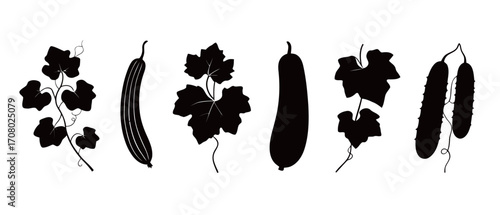 A collection of black silhouettes of different gourds and their leaves, including zucchini and cucumbers, perfect for culinary-themed illustrations and designs.