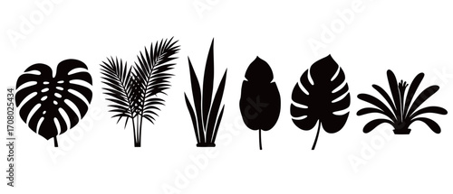 A creative collection of black silhouettes of various tropical and exotic plants, including monstera and palm leaves, ideal for creating summer-themed backgrounds and designs.