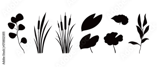 A creative set of minimalist black silhouettes of various plants, including reeds, cattails, and lily pads, perfect for a variety of botanical illustrations and logos.