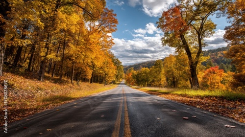 Road surrounded by trees in a natural landscape with clear blue sky
