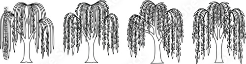 Weeping willow tree collection showcasing the graceful and elegant form of this iconic tree in various poses