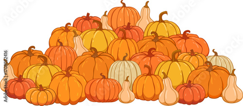 Pumpkin patch vector set. Bunch of autumn pumpkins. Hand drawn pumpkin squash in different colors and shapes.