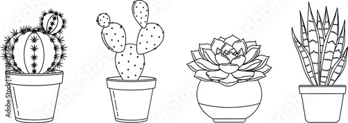 A captivating illustration showcasing a collection of four distinct potted succulents, each with unique shapes and textures