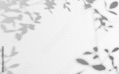 Shadow overlay from tree twig on a transparent background. Soft shade from tropical plant.