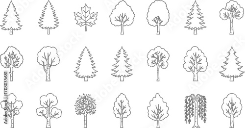 Diverse collection of tree sketches, showcasing various species and shapes for naturethemed designs and educational resources