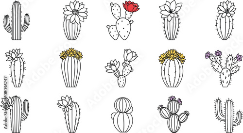 Collection of various cactus species with flowers, showcasing their unique shapes and colors in a botanical illustration