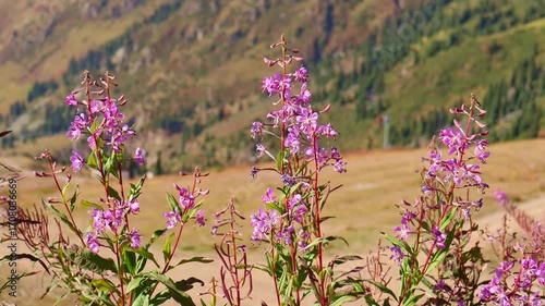 27 August 2025 Medeo Shymbulak Mountain Resort, Almaty Kazakhstan