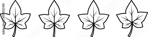 Ivy leaf illustrations, showcasing four identical leaves in a simple and elegant line art style for botanical designs