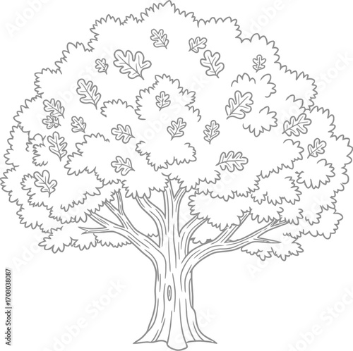 Detailed black and drawing of a mature tree with dense foliage