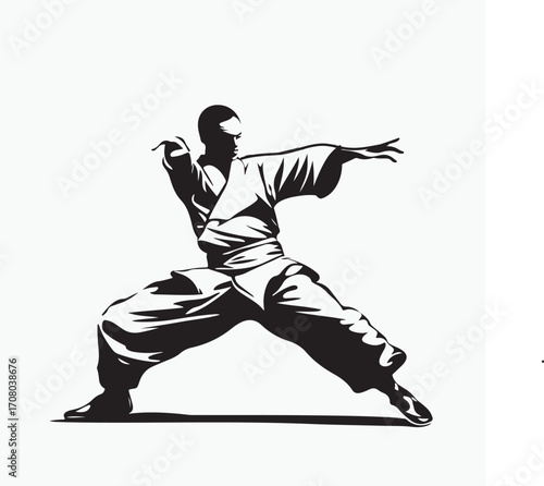 silhouette of a karate man