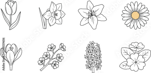 Line art illustration of various flower species, showcasing the beauty and diversity of botanical life in a minimalist style