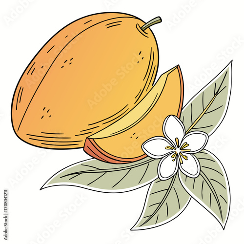 Illustration of a ripe mango with a slice, flower, and leaves the artwork showcases the fruits vibrant colors and intricate details in a visually appealing manner