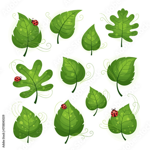 A vibrant collection of green leaves with ladybugs and gentle wind swirls.