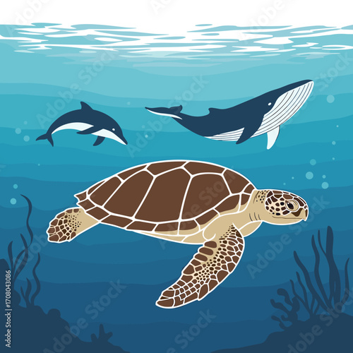 Marine life including a sea turtle a dolphin and a whale swimming underwater.