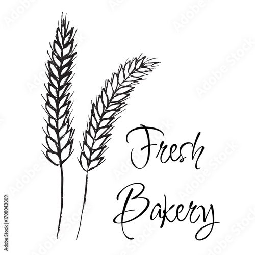 Hand drawn wheat ear for bakery logo design. Vector sketch illustration in crayon vintage style. Agriculture symbol, fresh bread.