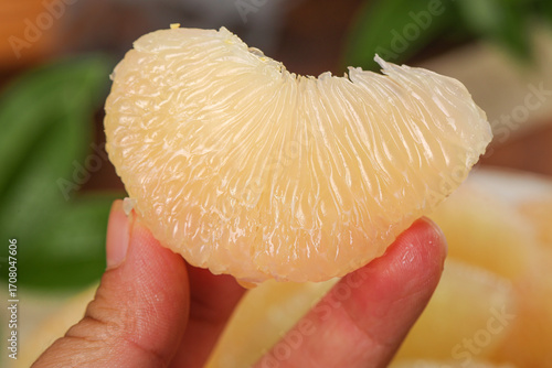Fresh Pomelo Citrus Fruit Segment in Hand - Sweet Juicy Tropical Fruit Close-up