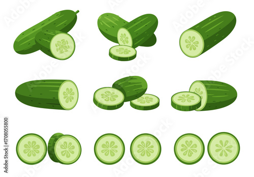 Fresh Green Cucumber Slices and Whole Vegetables Illustration.